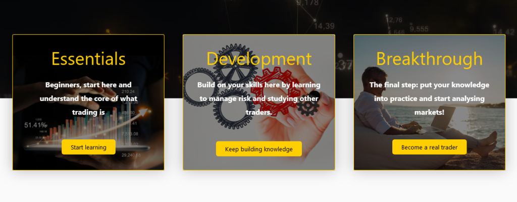 Structure Your Trader Education (how to become a trader). 3 Exness free forex trading courses